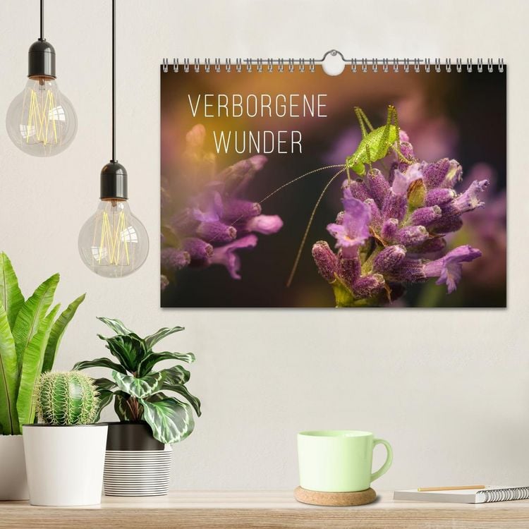 Produktbild: Verborgene Wunder (Wandkalender 2026 DIN A4 quer), CALVENDO Monatskalender