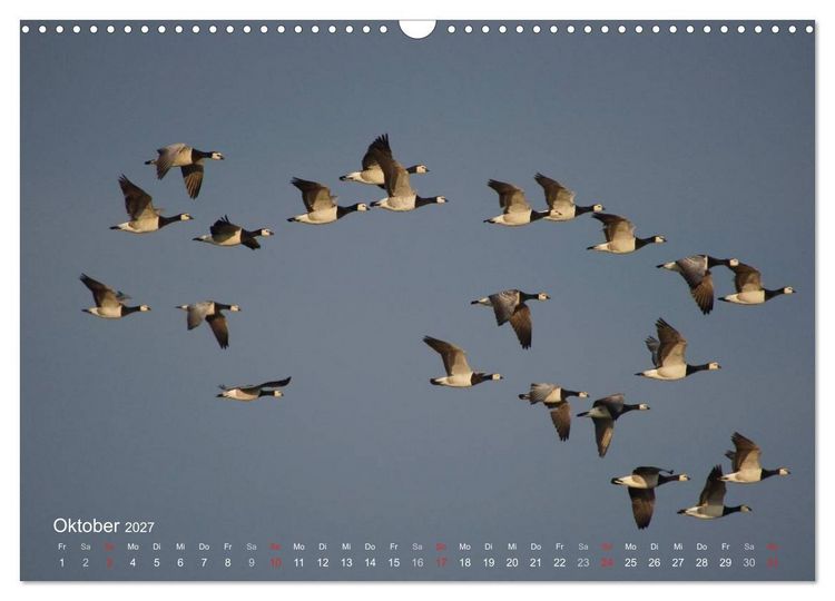 Produktbild: Anblicke und Ausblicke auf Fischland Dar&szlig; (Wandkalender 2027 DIN A3 quer), CALVENDO Monatskalender
