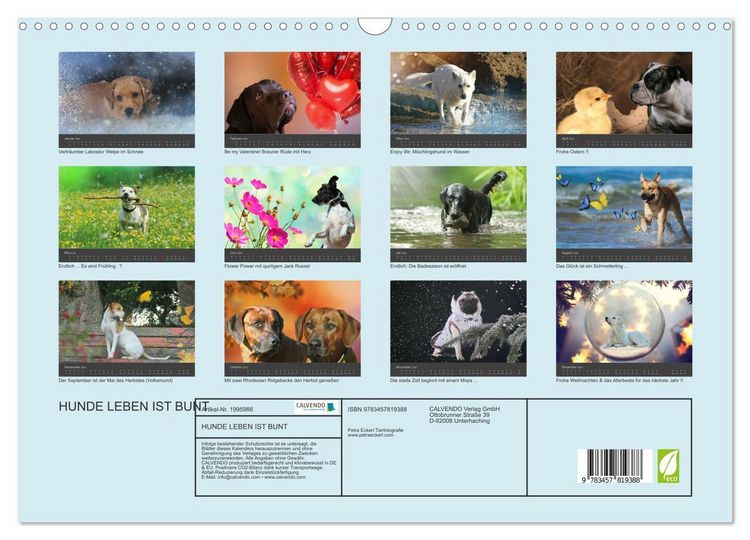 Produktbild: HUNDE LEBEN IST BUNT (Wandkalender 2026 DIN A3 quer), CALVENDO Monatskalender