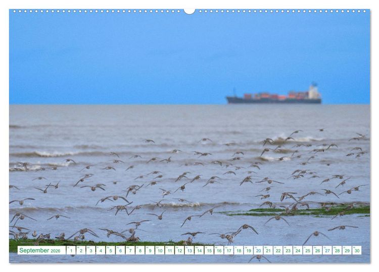 Produktbild: Schillig und Horumersiel - Im Wangerland unterwegs (Wandkalender 2026 DIN A2 quer), CALVENDO Monatskalender