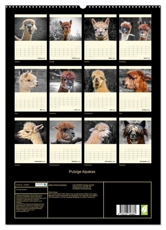 Produktbild: Putzige Alpakas (hochwertiger Premium Wandkalender 2026 DIN A2 hoch), Kunstdruck in Hochglanz