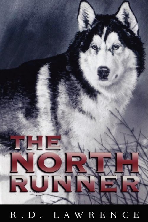Produktbild: The North Runner