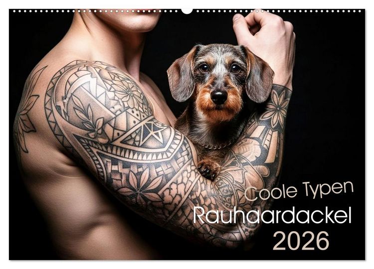 Produktbild: Coole Typen - Rauhaardackel (Wandkalender 2026 DIN A2 quer), CALVENDO Monatskalender