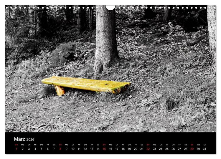 Produktbild: Farbtupfer (Wandkalender 2026 DIN A3 quer), CALVENDO Monatskalender