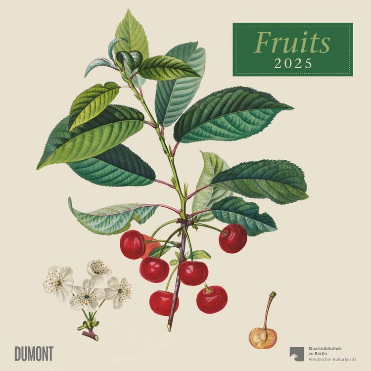 DUMONT Bäume Alleen 2025 Wandkalender 52x42,5cm, Kalender mit prachtvollen Bäumen