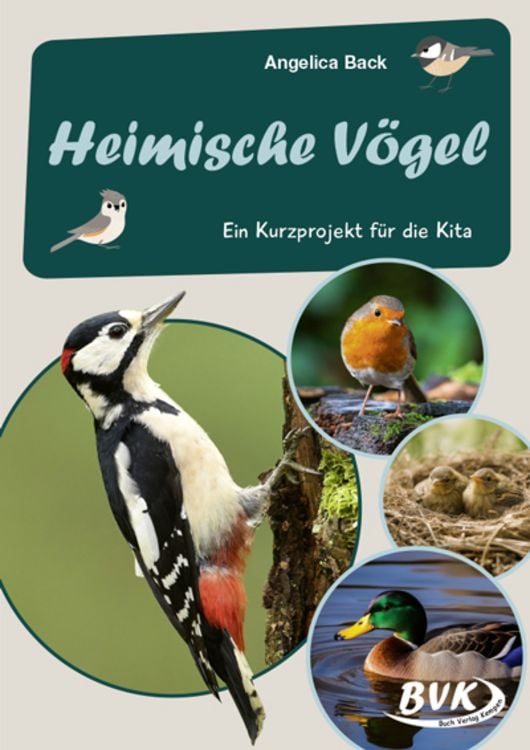 Produktbild: Heimische Vögel -