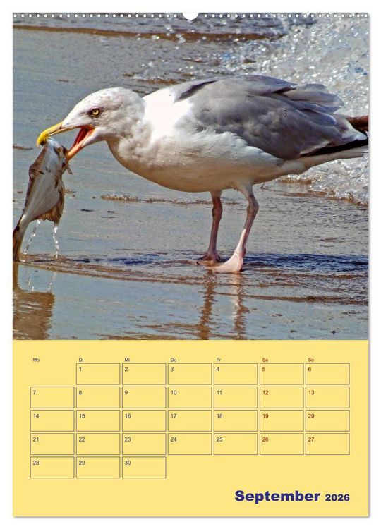 Produktbild: Sehnsuchtsort Warnem&uuml;nde (Wandkalender 2026 DIN A2 hoch), CALVENDO Monatskalender
