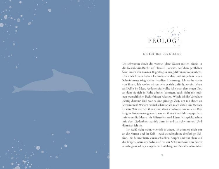 Produktbild: Die Reise der Wale