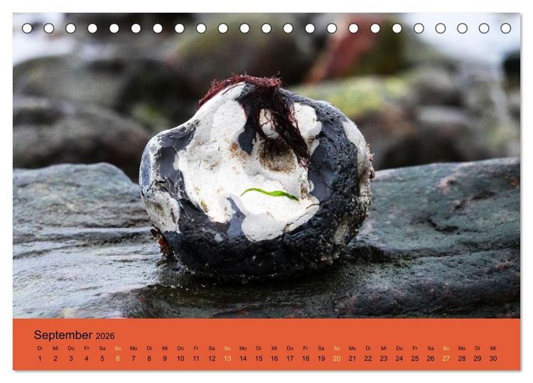 Produktbild: EIN STEIN SEIN (Tischkalender 2026 DIN A5 quer), CALVENDO Monatskalender