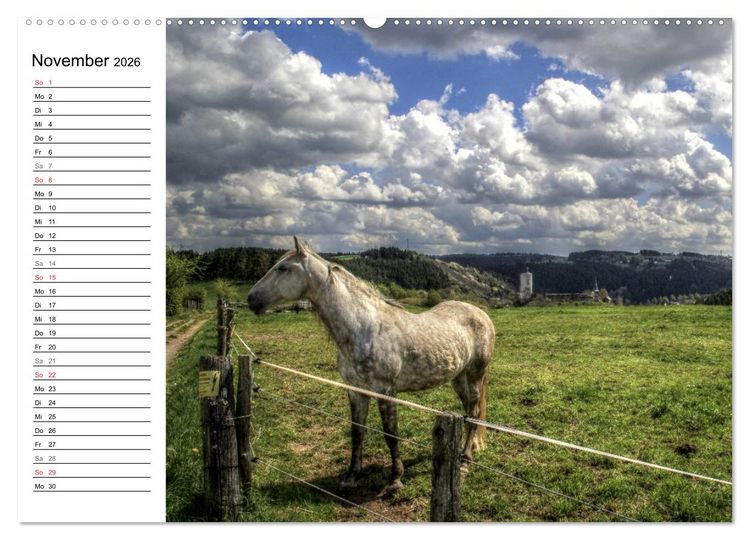 Produktbild: Faszination Eifel (Wandkalender 2026 DIN A2 quer), CALVENDO Monatskalender