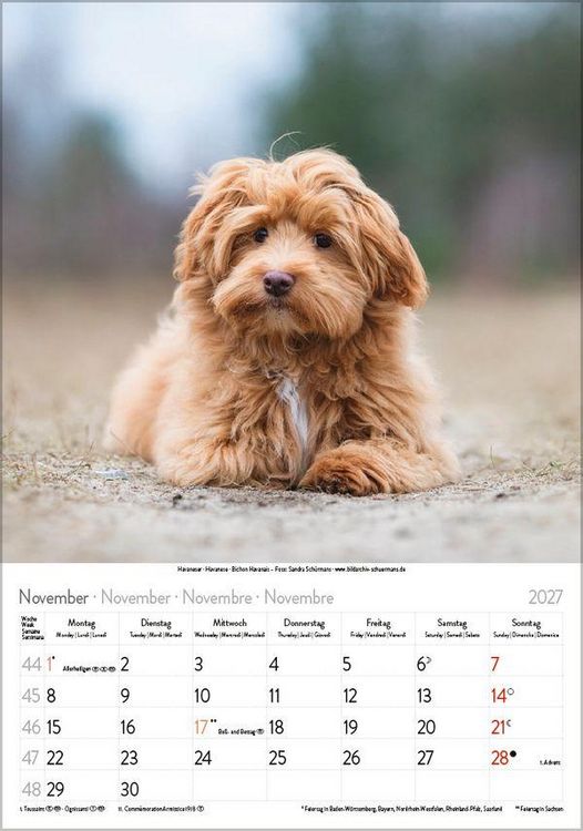 Produktbild: Hunde 2027
