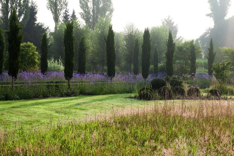 Produktbild: Meine Vision wird Garten