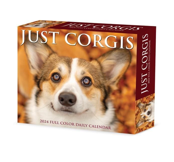 Produktbild: Willow Creek Press: Corgis 2024 6.2 X 5.4 Box Calendar