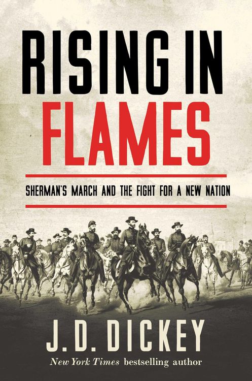 Produktbild: Rising in Flames