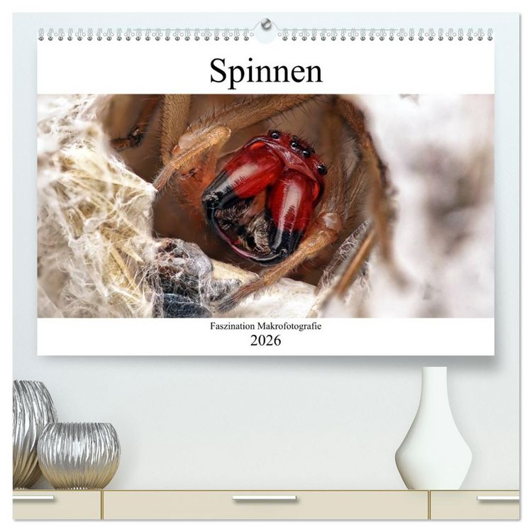 Produktbild: Faszination Makrofotografie: Spinnen (hochwertiger Premium Wandkalender 2026 DIN A2 quer), Kunstdruck in Hochglanz