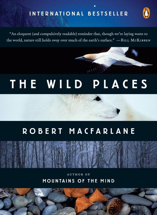 Produktbild: The Wild Places