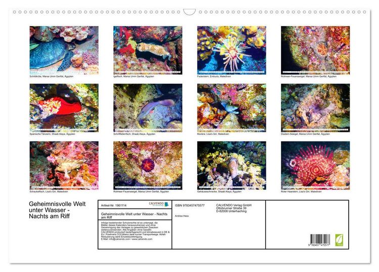 Produktbild: Geheimnisvolle Welt unter Wasser - Nachts am Riff (Wandkalender 2026 DIN A2 quer), CALVENDO Monatskalender