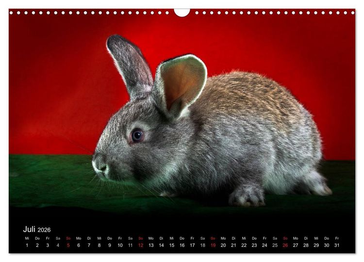 Produktbild: Lustige Kaninchen (Wandkalender 2026 DIN A3 quer), CALVENDO Monatskalender