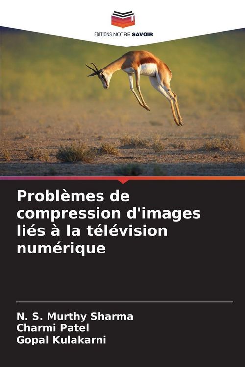 Produktbild: Probl&egrave;mes de compression d'images li&eacute;s &agrave; la t&eacute;l&eacute;vision num&eacute;rique