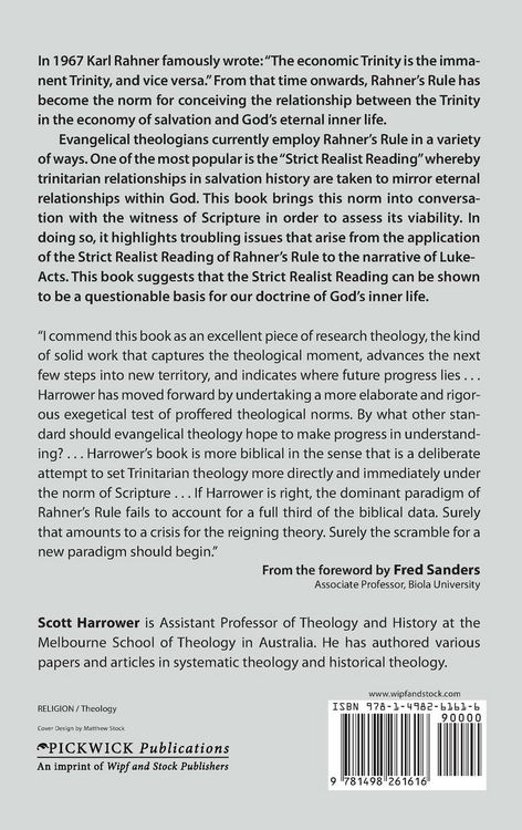 Produktbild: Trinitarian Self and Salvation