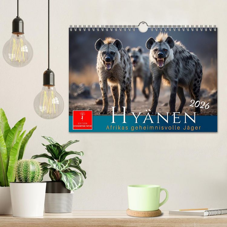 Produktbild: Hy&auml;nen - Afrikas geheimnisvolle J&auml;ger (Wandkalender 2026 DIN A4 quer), CALVENDO Monatskalender