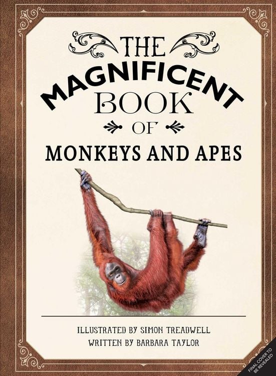 Produktbild: The Magnificent Book of Monkeys and Apes