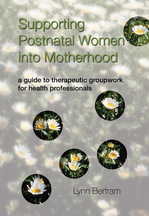 Produktbild: Supporting Postnatal Women into Motherhood