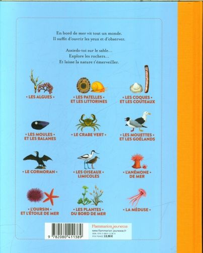 Produktbild: Les petites le&ccedil;ons de choses du bord de mer