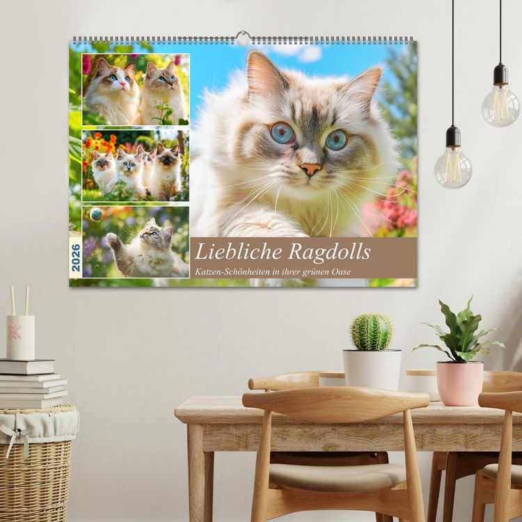 Produktbild: Liebliche Ragdolls. Katzen-Sch&ouml;nheiten in ihrer gr&uuml;nen Oase (Wandkalender 2026 DIN A2 quer), CALVENDO Monatskalender