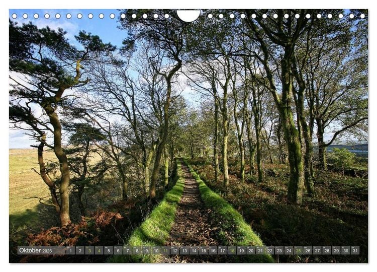Produktbild: Cumbria (Wandkalender 2026 DIN A4 quer), CALVENDO Monatskalender