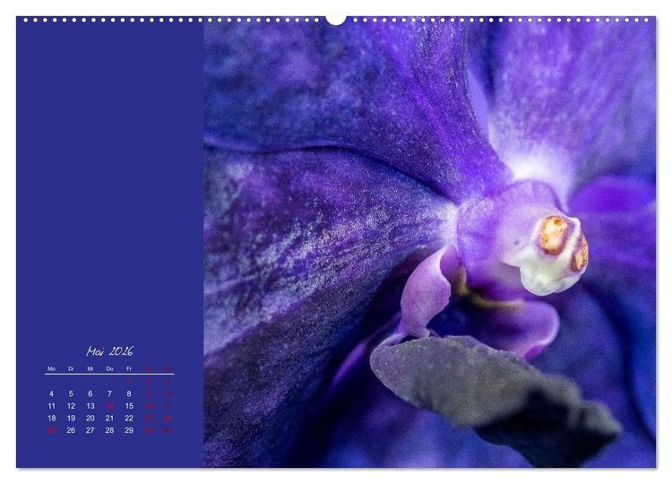 Produktbild: Bl&uuml;tenstil (hochwertiger Premium Wandkalender 2026 DIN A2 quer), Kunstdruck in Hochglanz