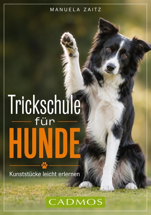 Produktbild: Trickschule f&uuml;r Hunde