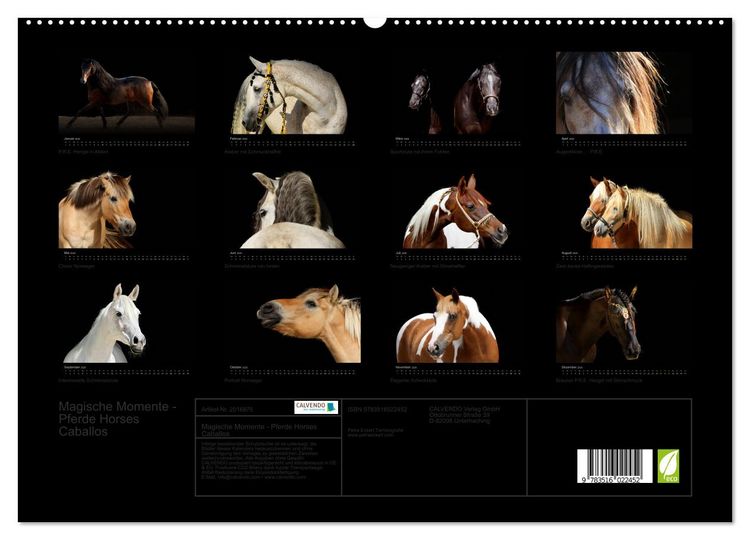 Produktbild: Magische Momente - Pferde Horses Caballos (hochwertiger Premium Wandkalender 2026 DIN A2 quer), Kunstdruck in Hochglanz