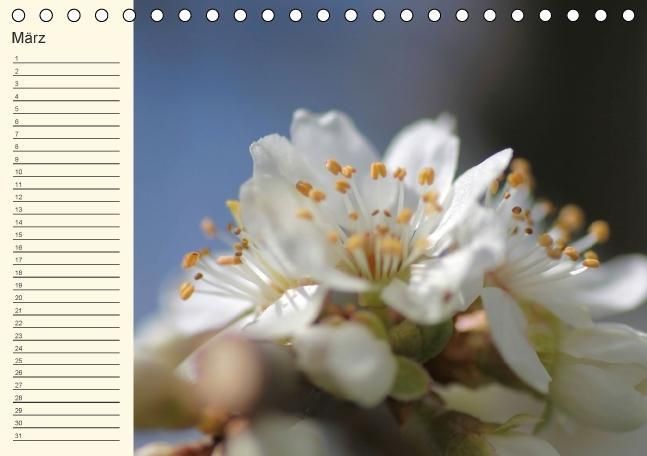 Produktbild: Geburtstagskalender "Nette Kleinigkeiten" (Tischkalender immerw&auml;hrend DIN A5 quer)