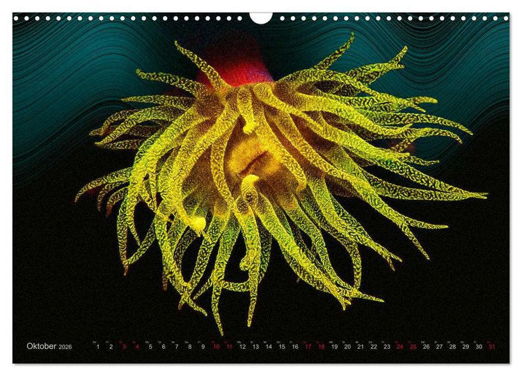 Produktbild: Artwork Unterwasser - Erlebnis Tauchen (Wandkalender 2026 DIN A3 quer), CALVENDO Monatskalender