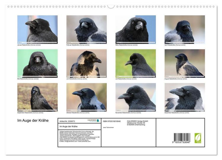 Produktbild: Im Auge der Kr&auml;he (hochwertiger Premium Wandkalender 2027 DIN A2 quer), Kunstdruck in Hochglanz