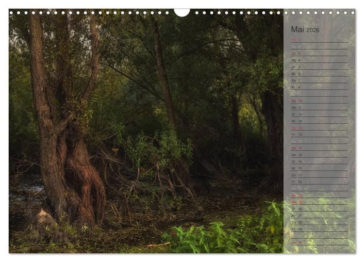 Produktbild: Unser Wald - Magische Sichten in norddeutsche W&auml;lder / Geburtstagskalender (Wandkalender 2026 DIN A3 quer), CALVENDO Monatskalender