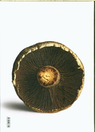 Produktbild: The Gourmand's Mushroom