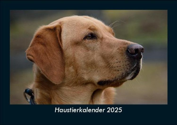 Produktbild: Haustierkalender 2025 Fotokalender DIN A5