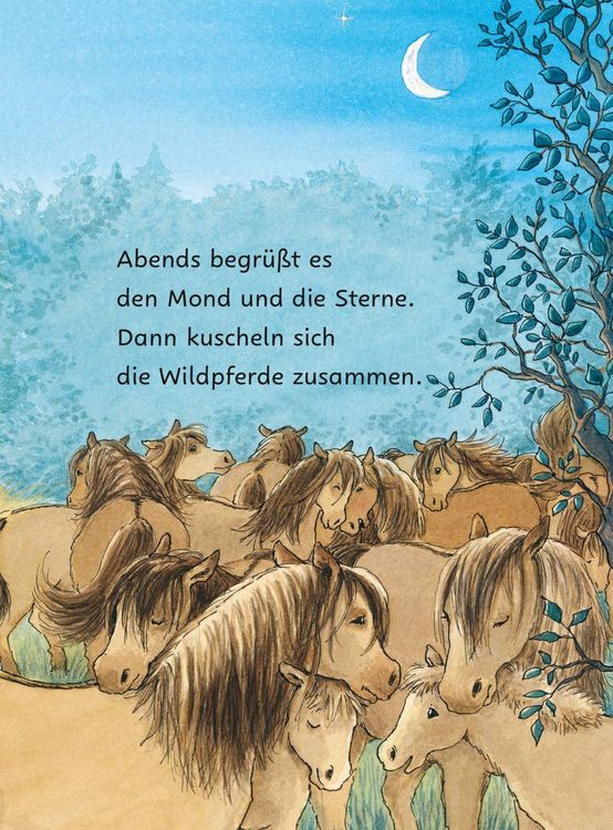 Produktbild: Ponyherz und Herr Franz: Die geklaute Wurst