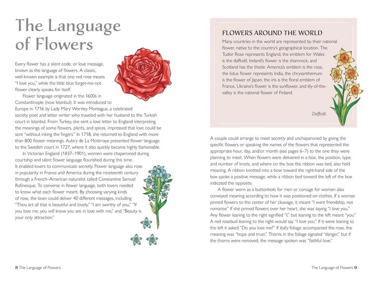 Produktbild: The Spirit of Flowers