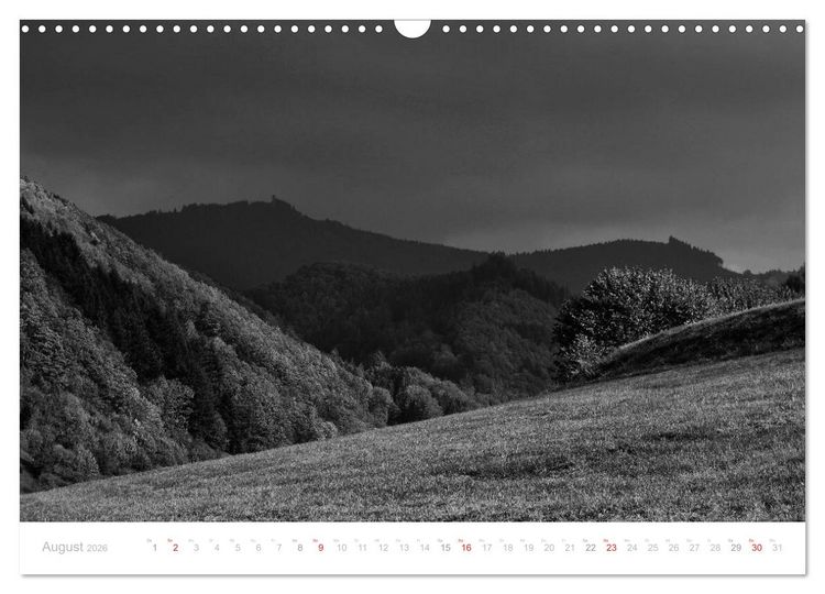 Produktbild: Mystischer Schwarzwald (Wandkalender 2026 DIN A3 quer), CALVENDO Monatskalender