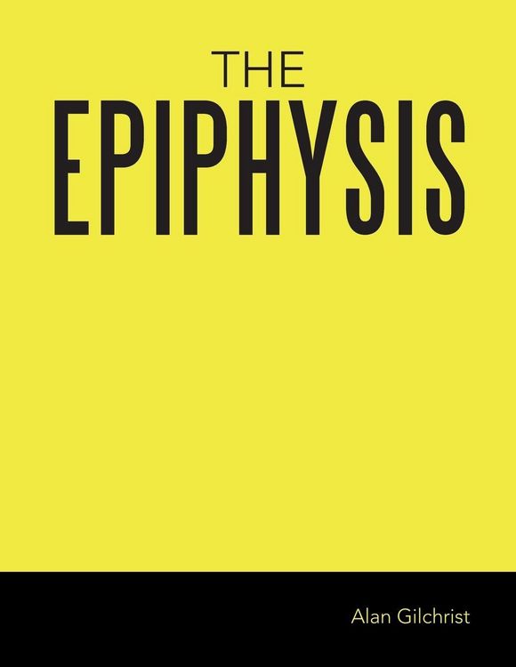 Produktbild: THE EPIPHYSIS