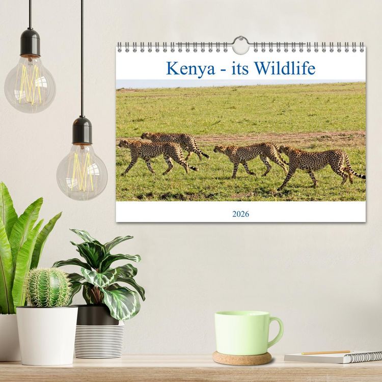 Produktbild: Kenya - its Wildlife (Wall Calendar 2026 DIN A4 landscape), CALVENDO 12 Month Wall Calendar