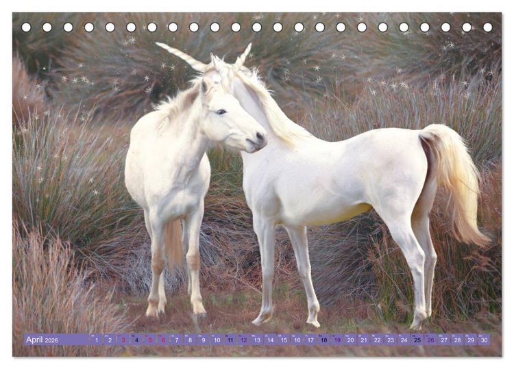 Produktbild: Einhorn Welt - vertr&auml;umte Einhornbilder (Tischkalender 2026 DIN A5 quer), CALVENDO Monatskalender