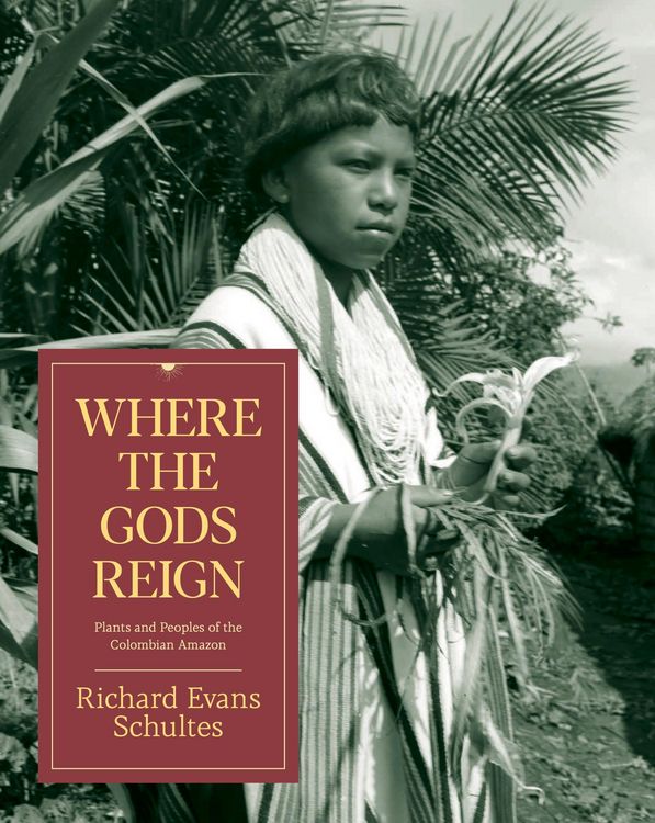 Produktbild: Where the Gods Reign