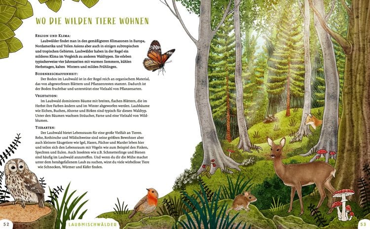Produktbild: Wir sind die Tiere des Waldes