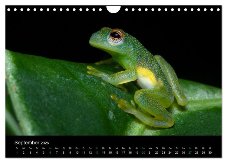 Produktbild: Costa Rica - Faszination Fr&ouml;sche (Wandkalender 2026 DIN A4 quer), CALVENDO Monatskalender