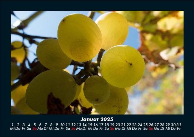Produktbild: Obstkalender 2025 Fotokalender DIN A5