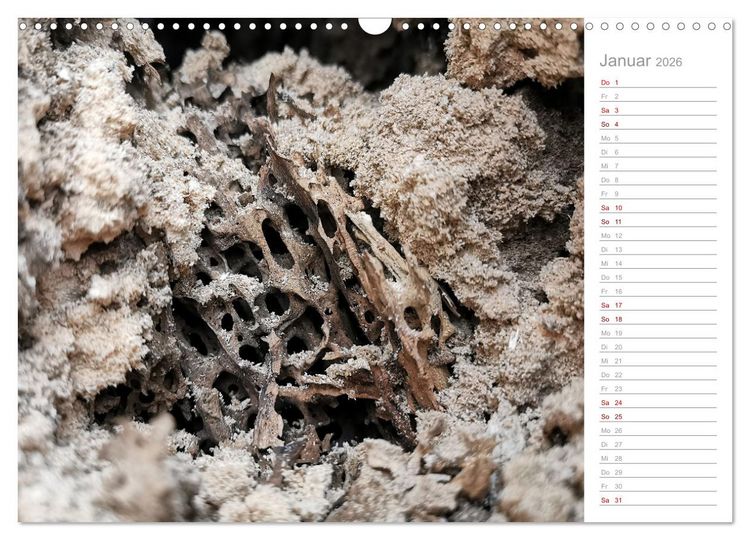 Produktbild: Abstrakte Umwelt (Wandkalender 2026 DIN A3 quer), CALVENDO Monatskalender
